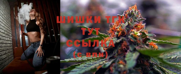 Альфа ПВП Абаза
