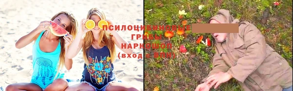 Альфа ПВП Абаза